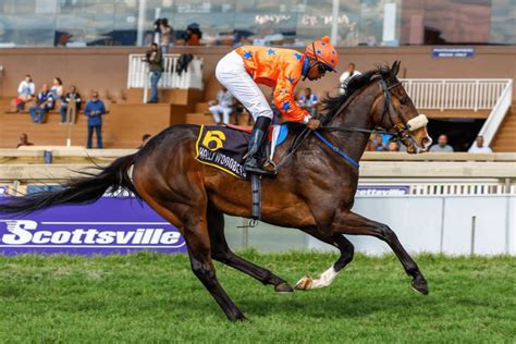durban july betting|2024 Durban July Tips .